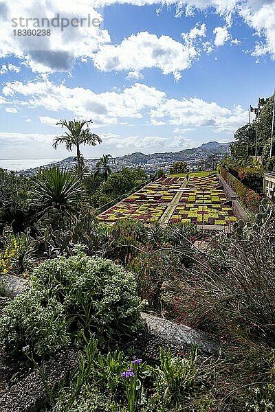 Blumenbeete mit Muster  Botanischer Garten  Jardim Botanico  Funchal  Madeira  Portugal  Europa