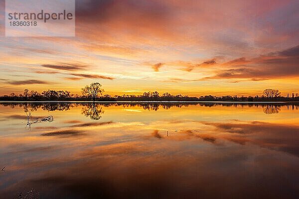 Reflexion des orangefarbenen Himmels im Wasser der überschwemmten Wiese bei Sonnenaufgang. Elsass  Frankreich  Europa