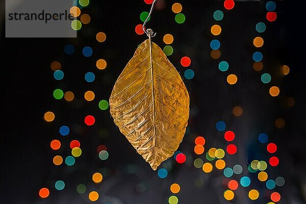 Trockenes Blatt auf einem Bokeh-Licht vor einem dunklen Hintergrund