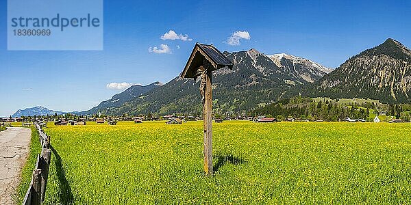 Feldkreuz mit Christusfigur  Lorettowiesen bei Oberstdorf  dahinter Gaisalphorn  1953m  Nebelhorn  2224m  und Schattenberg  1845m  Allgäuer Alpen  Allgäu  Bayern  Deutschland  Europa