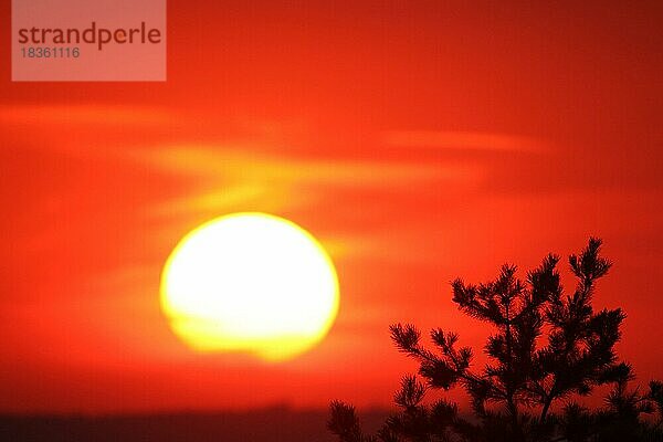 Sonnenuntergang mit rotem Himmel  Westungarn  Ungarn  Europa