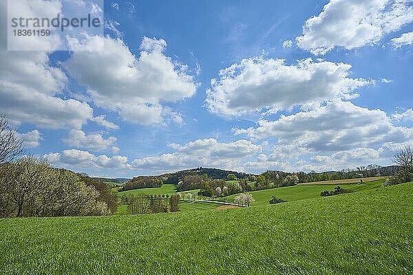 Landschaft  Wiese  Wolken  Mittelgebirge  Frühling  Birkenau  Odenwald  Hessen  Deutschland  Europa