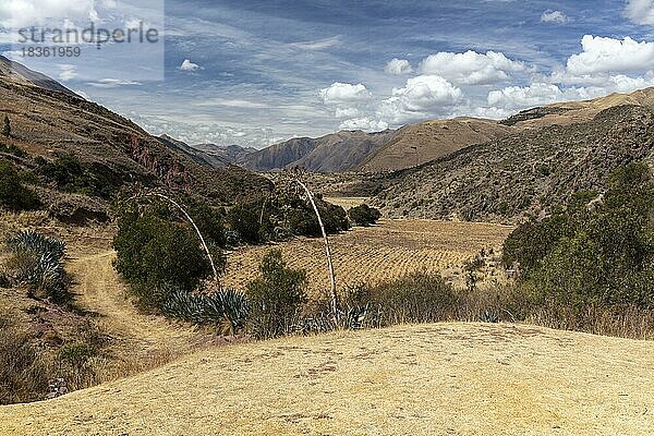 Blick ins Tal des Urubamba  Huarcapay  Peru  Südamerika