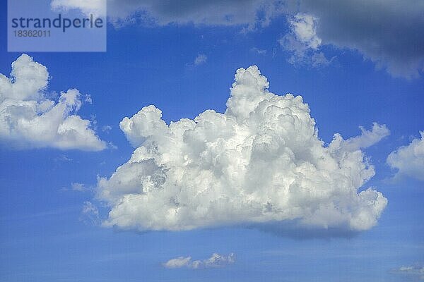 Blauer Himmel mit weißer Mediocris-Wolke  die zu den tiefliegenden Cumuluswolke (cumulus) gehört