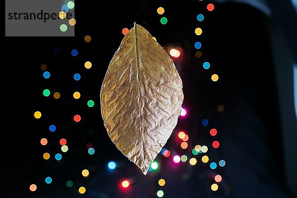 Trockenes Blatt auf einem Bokeh-Licht vor einem dunklen Hintergrund