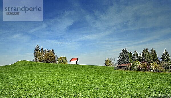 Grüne Wiese  blauer Himmel  einsame Kapelle bei Kempten  Allgäu  Bayern  Deutschland  Europa