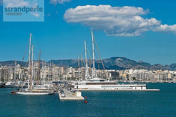 Yachthafen von Palma De Mallorca  Spanien  Europa