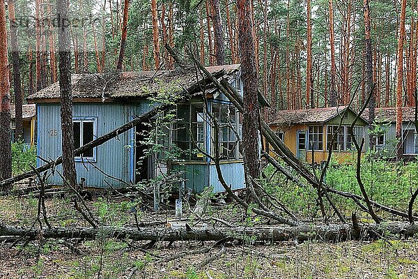 Sperrzone  in der unbewohnbaren 30-Kilometer-Zone um das Kraftwerk von Tschernobyl und der Arbeitersiedlung Pripjat  Holzhuetten im Kinderferienlager Isumrudnyi  Ukraine  Europa