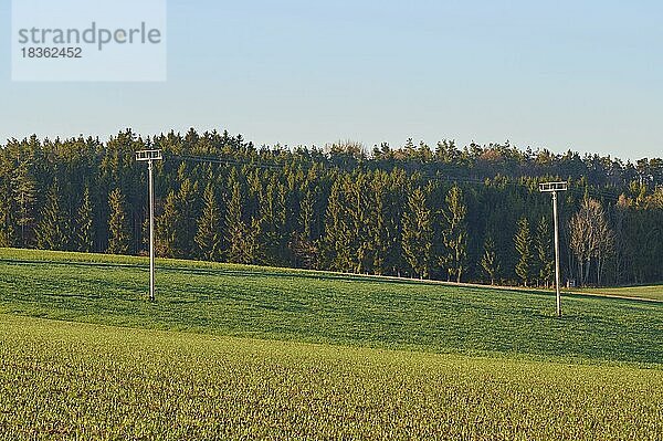 Landschaft  Getreidefeld  Stromleitung  Morgen  Frühling  Reichartshausen  Amorbach  Odenwald  Bayern  Deutschland  Europa