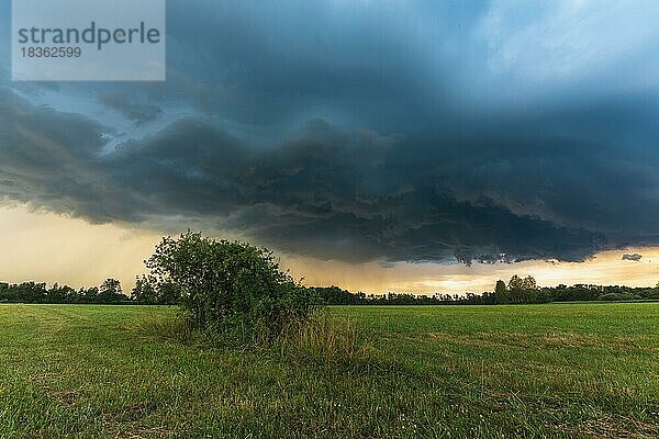 Arge Sturmzelle in einem stürmischen Himmel über einer Wiese im Sommer. Elsass  Frankreich  Europa