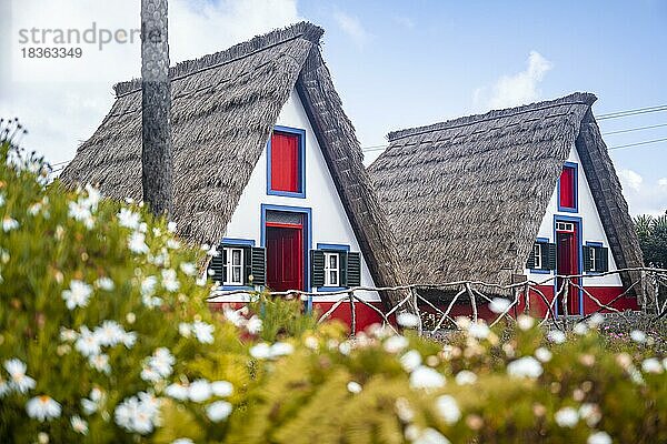 Traditionelles strohgedecktes Haus in Santana  Casa de Colmo  Insel Madeira  Portugal  Europa