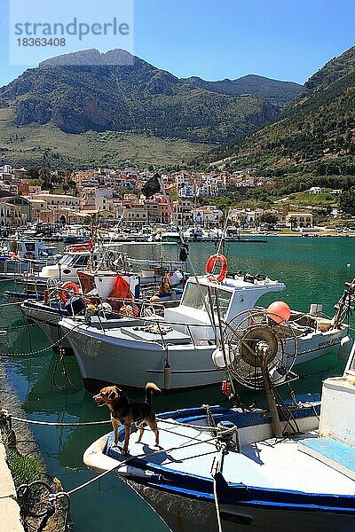 Boote im Fischerhafen von Castellammare del Golfo  Gemeinde in der Provinz Trapani  Sizilien  Italien  Europa