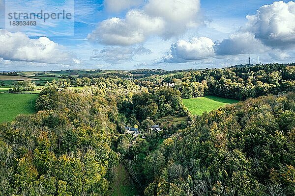 Wälder und Bauernhöfe über Berry Pomeroy  Devon  England  Großbritannien  Europa