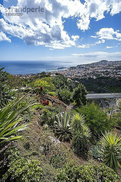 Ausblick über die Stadt Funchal  Blumen im Botanischen Garten  Jardim Botanico  Funchal  Madeira  Portugal  Europa