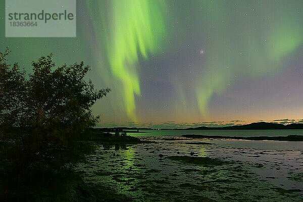 Nordlichter (aurora borealis) spiegeln sich im Wasser  Fjord bei Ebbe  Offersöy  FV 17  Kystriksveien  Nordland  Norwegen  Europa