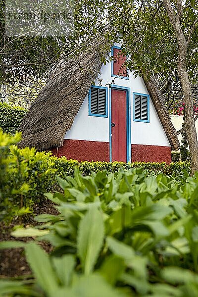 Traditionelles Haus  Botanischer Garten Funchal  Jardim Botanico  Madeira  Portugal  Europa