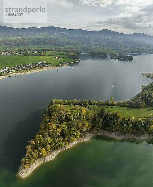 Ufer ragt in den Lac de Gruyère  Greyerzersee  Stausee  Luftaufnahme  Fribourg  Schweiz  Europa
