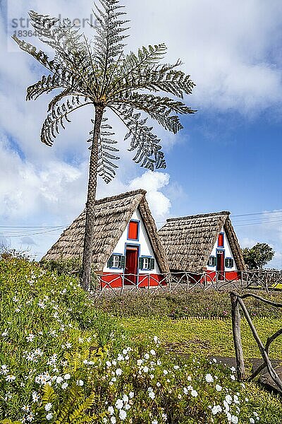 Traditionelles strohgedecktes Haus in Santana  Casa de Colmo  Insel Madeira  Portugal  Europa