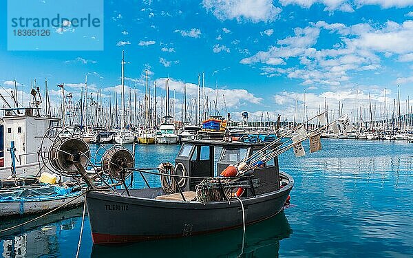 Hafen von Toulon  Mittelmeer  Frankreich  Europa