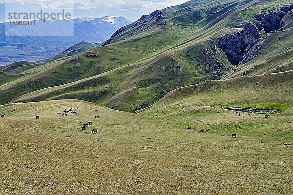 Landschaft entlang des At-Bashy-Gebirges  Region Naryn  Kirgisistan