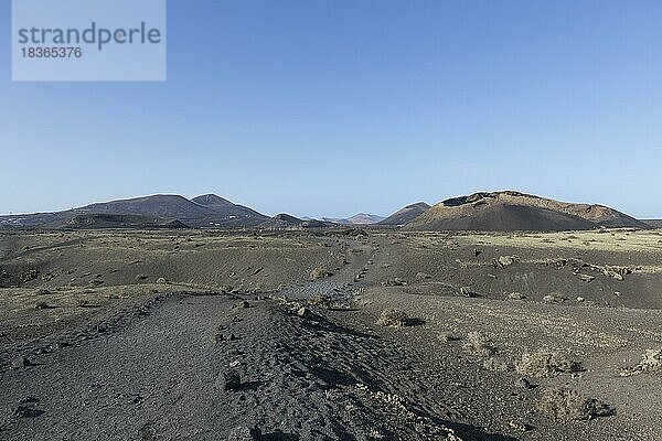 Weg durch die Vulkanlandschaft zum Vulkan Caldera de Los Cuervos  Tias  Lanzarote  Kanaren  Spanien  Europa