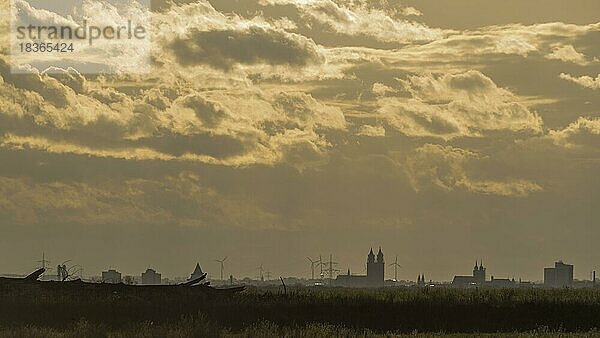 Silhouette der Stadt Magdeburg  Jahrtausendturm  Dom  Kloster Unser Lieben Frauen  Johanniskirche  Abendsonne  Magdeburg  Sachsen-Anhalt  Deutschland  Europa