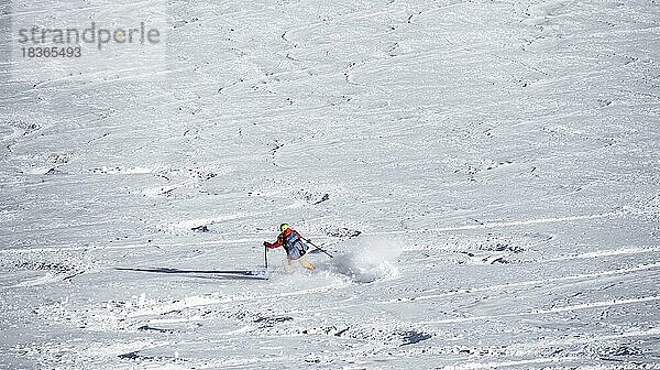 Skitourengeherin bei der Abfahrt im Winter  Sellraintal  Kühtai  Tirol  Österreich  Europa