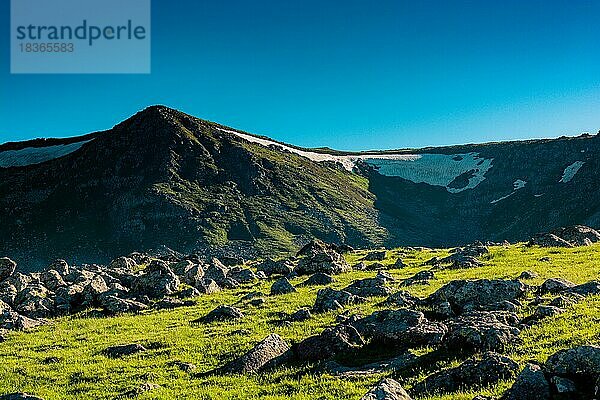 Grünes Gras auf einer Hochlandwiese in Artvin in der Türkei