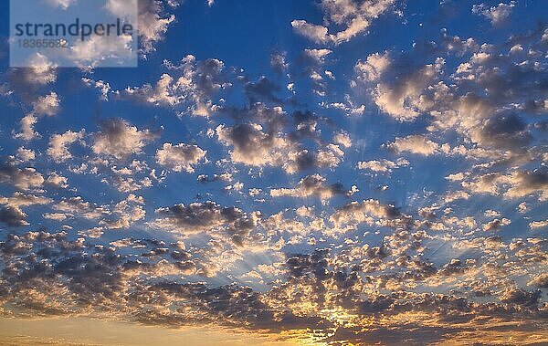 Schöne Wolkenbildung (Altocumulus) bei Sonnenaufgang