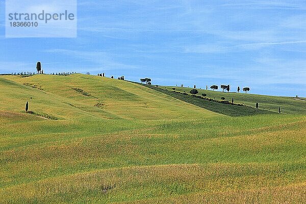 Wellige  hueglige Landschaft in der Toskana  in der Crete Senesi  Toskana  Italien  Europa