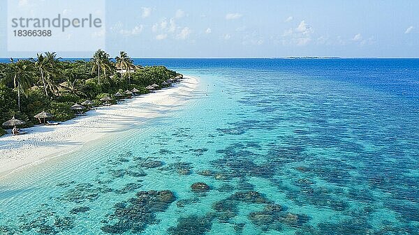 Luftaufnahme Blick aus Vogelperspektive auf links langer Strand Palmenstrand von Malediveninsel Insel  in der Mitte Lagune mit Korallenblöcke von Steinkorallen (Scleractinia)  Filaidhoo  Raa-Atoll  Malediven  Asien