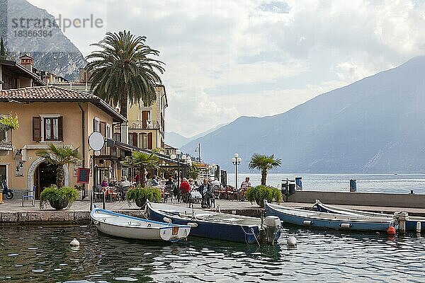 Limone sul Garda  Gardasee  Provinz Brescia  Lombardei  Italien  Europa