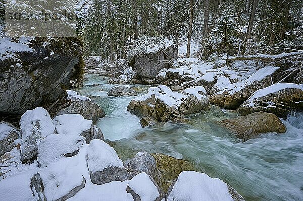 Bergbach im Winter  Zauberwald  Hintersee  Ramsau  Nationalpark Berchtesgaden  Oberbayern  Bayern  Deutschland  Europa