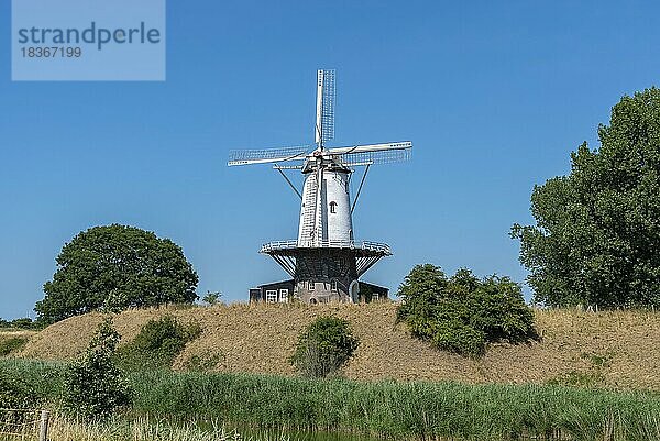 Windmühle De Koe an der ehemaligen Bastion  Veere  Zeeland  Niederlande  Europa