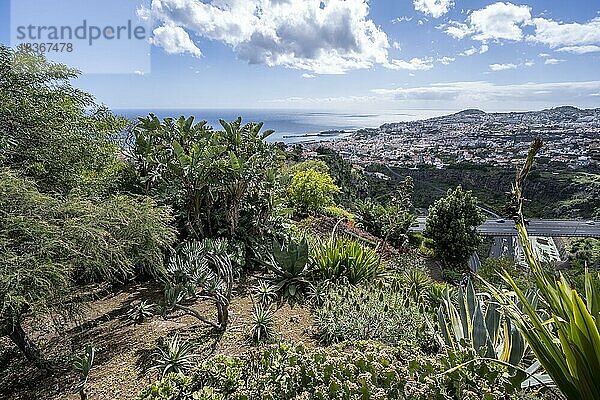 Botanischer Garten Funchal  Jardim Botanico  Stadtansicht von Funchal  Madeira  Portugal  Europa