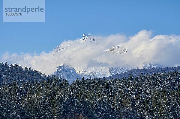 Reiteralpe im Winter  Berchtesgaden  Nationalpark Berchtesgaden  Oberbayern  Bayern  Deutschland  Europa