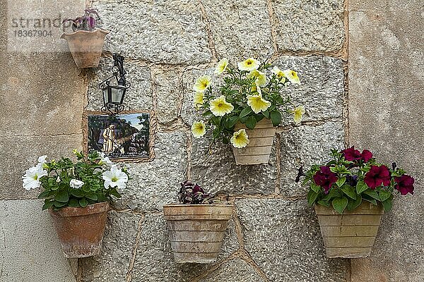 Typischer Kachel-und Blumenschmuck  Valldemossa  Mallorca  Balearen  Spanien  Europa