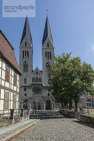 Halberstädter Dom St. Stephanus und St. Sixtus  gotische Basilika  Halberstadt  Sachsen-Anhalt  Deutschland  Europa