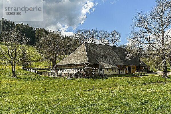 Traditioneller Bauernhof im Schwarzwald bei Titisee-Neustadt  Baden-Württemberg  Deutschland  Europa