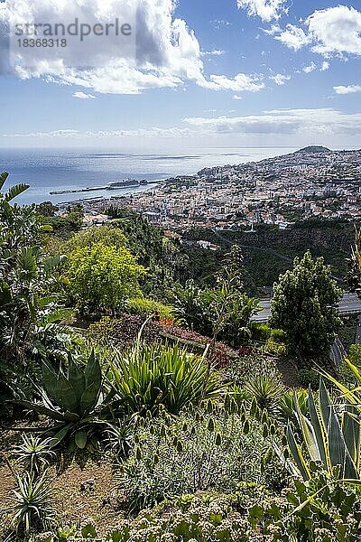 Botanischer Garten Funchal  Jardim Botanico  Madeira  Portugal  Europa