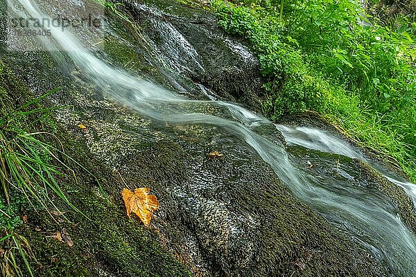 Wasserfall mit frischem Wasser in den Bergen im Herbst. Elsass  Frankreich  Europa