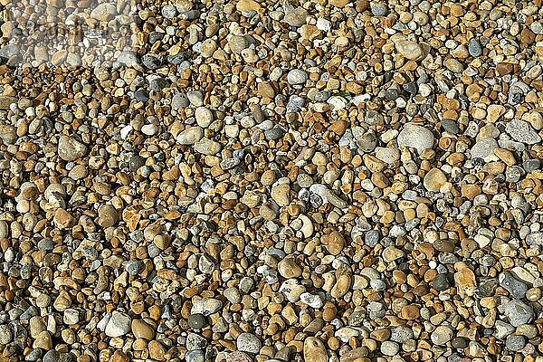 Steine am Strand  Samphire Hoe Landschaftspark  Kent  England  Großbritannien  Europa