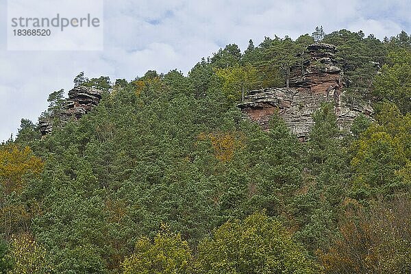 Felsen im Pfälzer Wald  Rheinland-Pfalz  Deutschland  Europa