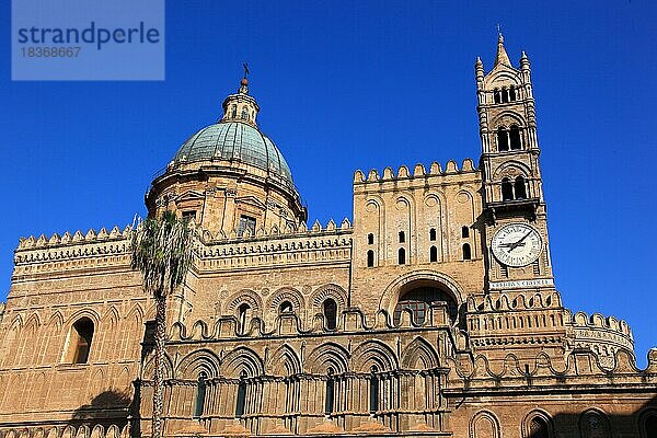 Stadt Palermo  die Kathedrale Maria Santissima Assunta  die barocke Kuppel und der Uhrturm  UNESCO Weltkulturerbe  Sizilien  Italien  Europa
