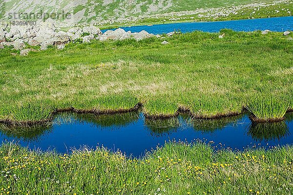 Hochlandsee in grünem Naturhintergrund in der Provinz Artvin in der Türkei