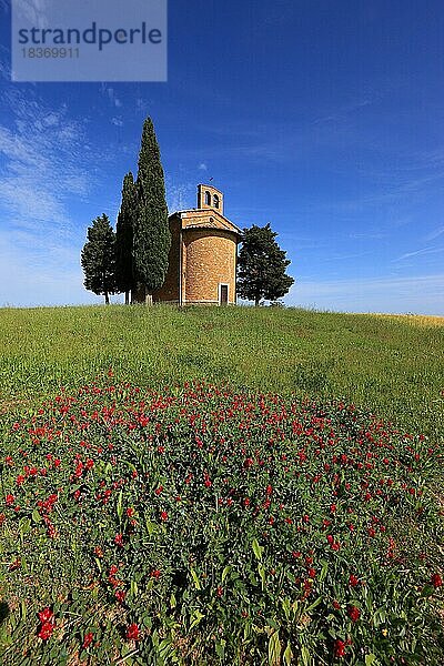 Capella di Vitaleta  winzige  abgelegene Kapelle  die zwischen Zypressen liegt  mit imposantem Blick auf die umliegende Landschaft im Val d Orcia  Orcia Tal  bei San Quirico d Orcia  Toskana  Italien  Europa