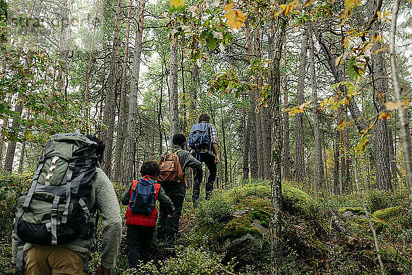 Rückansicht einer Familie beim gemeinsamen Wandern im Wald während des Urlaubs