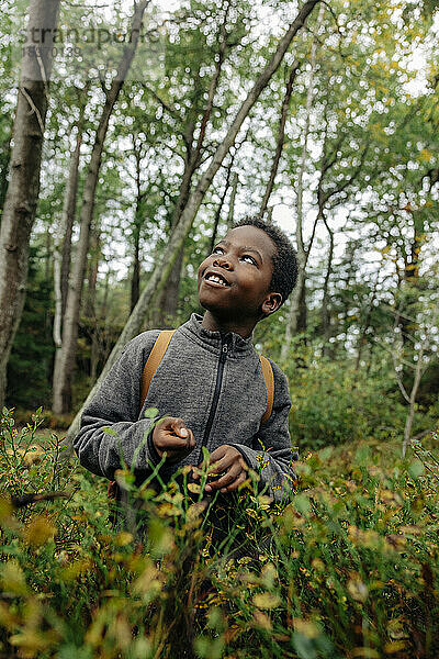 Lächelnder Junge  der in den Ferien in der Nähe von Pflanzen im Wald steht und träumt