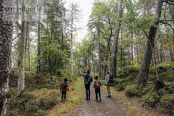 Eltern zeigen ihren Kindern beim Wandern im Wald in den Ferien Bäume