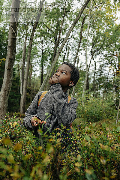 Junge schaut nach oben und isst Beeren in der Nähe von Pflanzen im Wald
